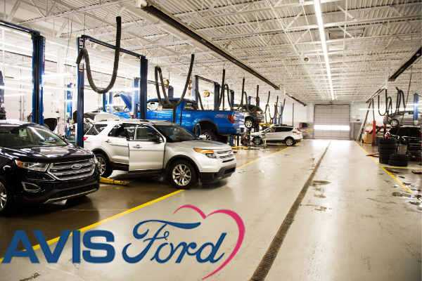 Ford Cars being serviced with Service Bay